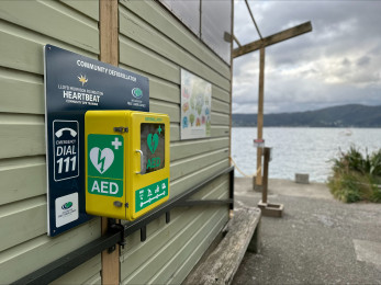 An AED on green weatherboards with the Wellington Harbour in the background