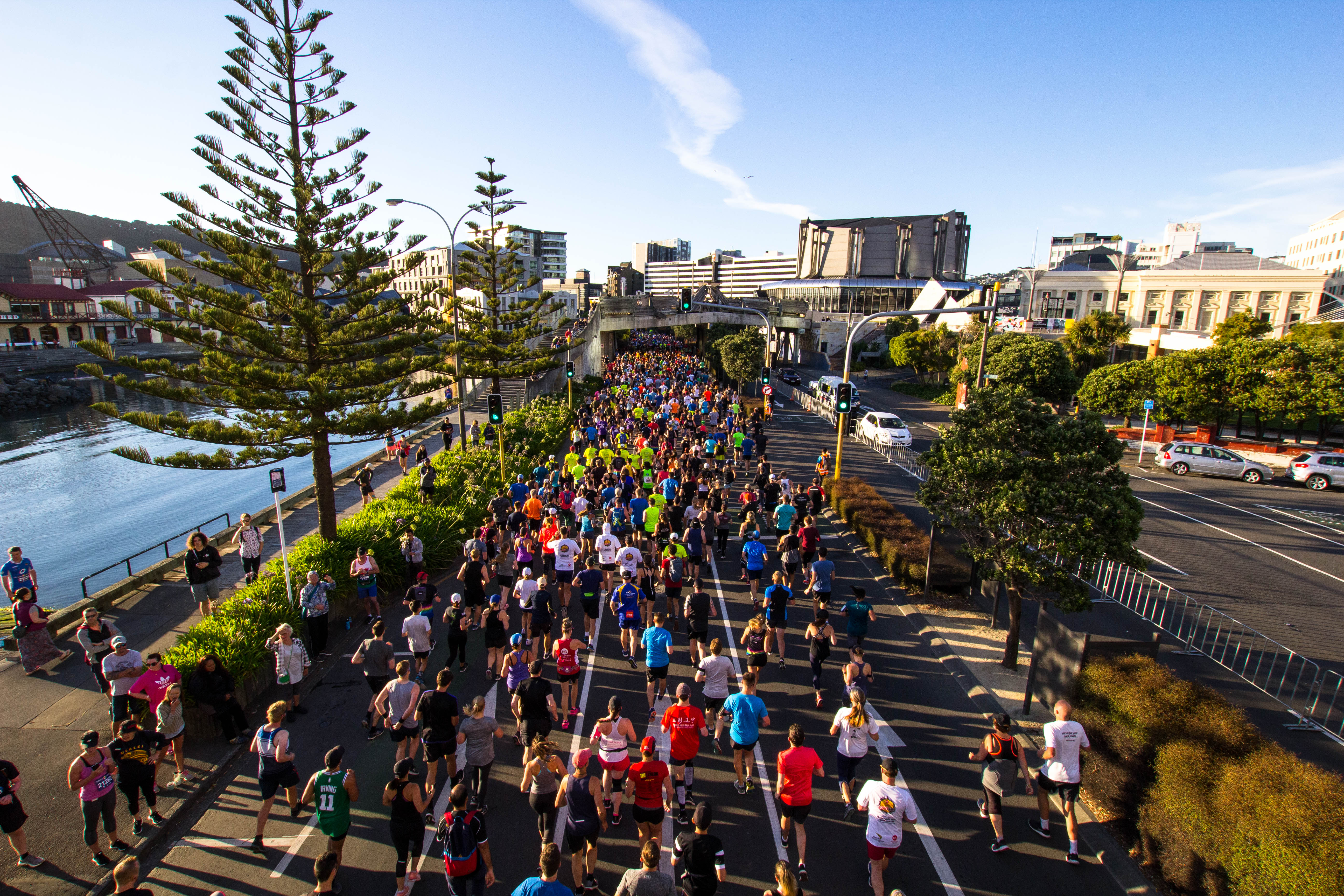 Wellington Round the Bays 