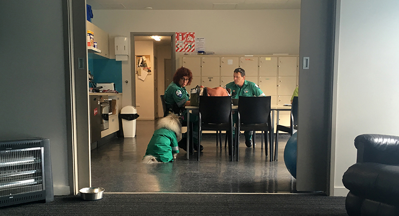 Topaz the mental health support dog with paramedics
