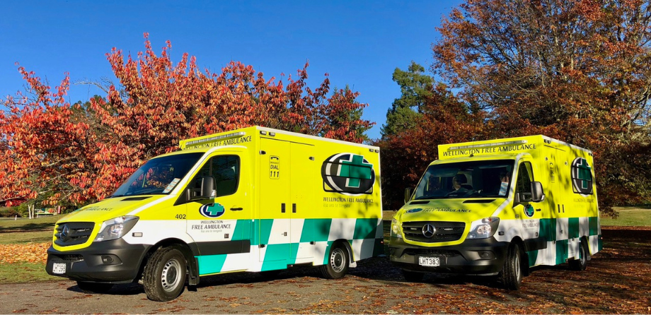 2 ambulances in front of autumnal trees
