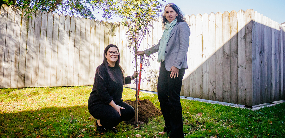 Facilities Manager Lucy and Acting Chief Executive Sarah planting a kōwhai tree.